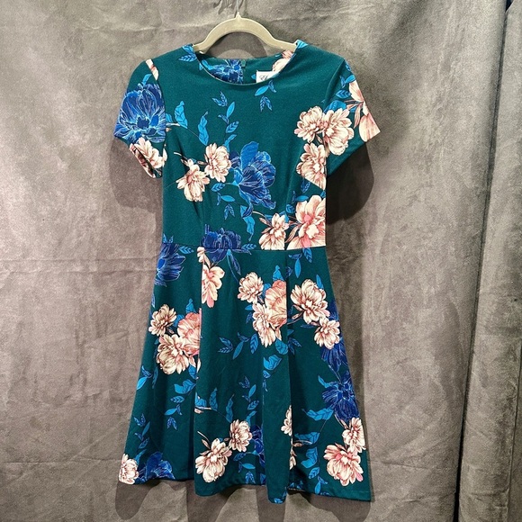 Eliza J Floral Fit & Flare Dress Teal Pink Blue Garden Party Wedding Guest Sz 6 - Picture 4 of 12